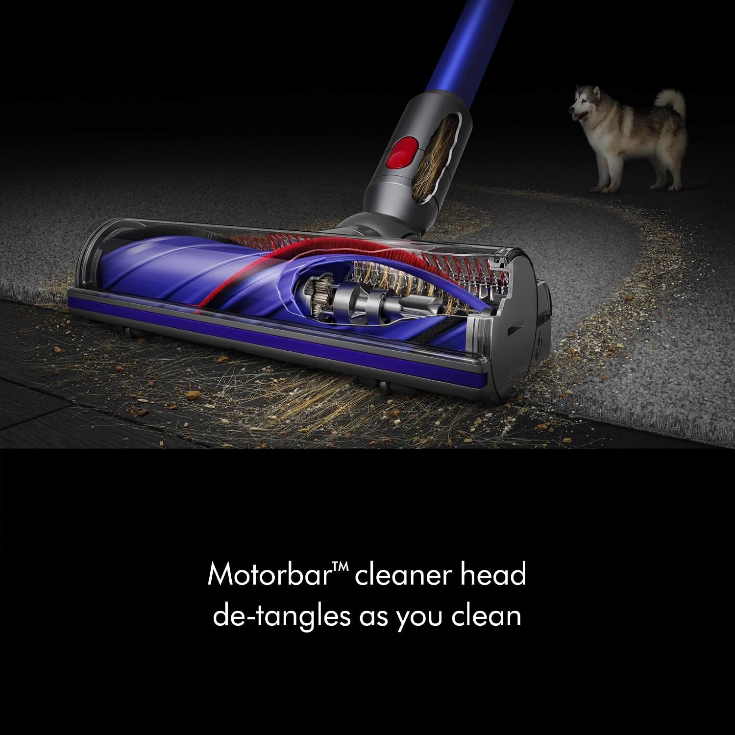 Dyson V11™ Advanced Cordless Vacuum Cleaner