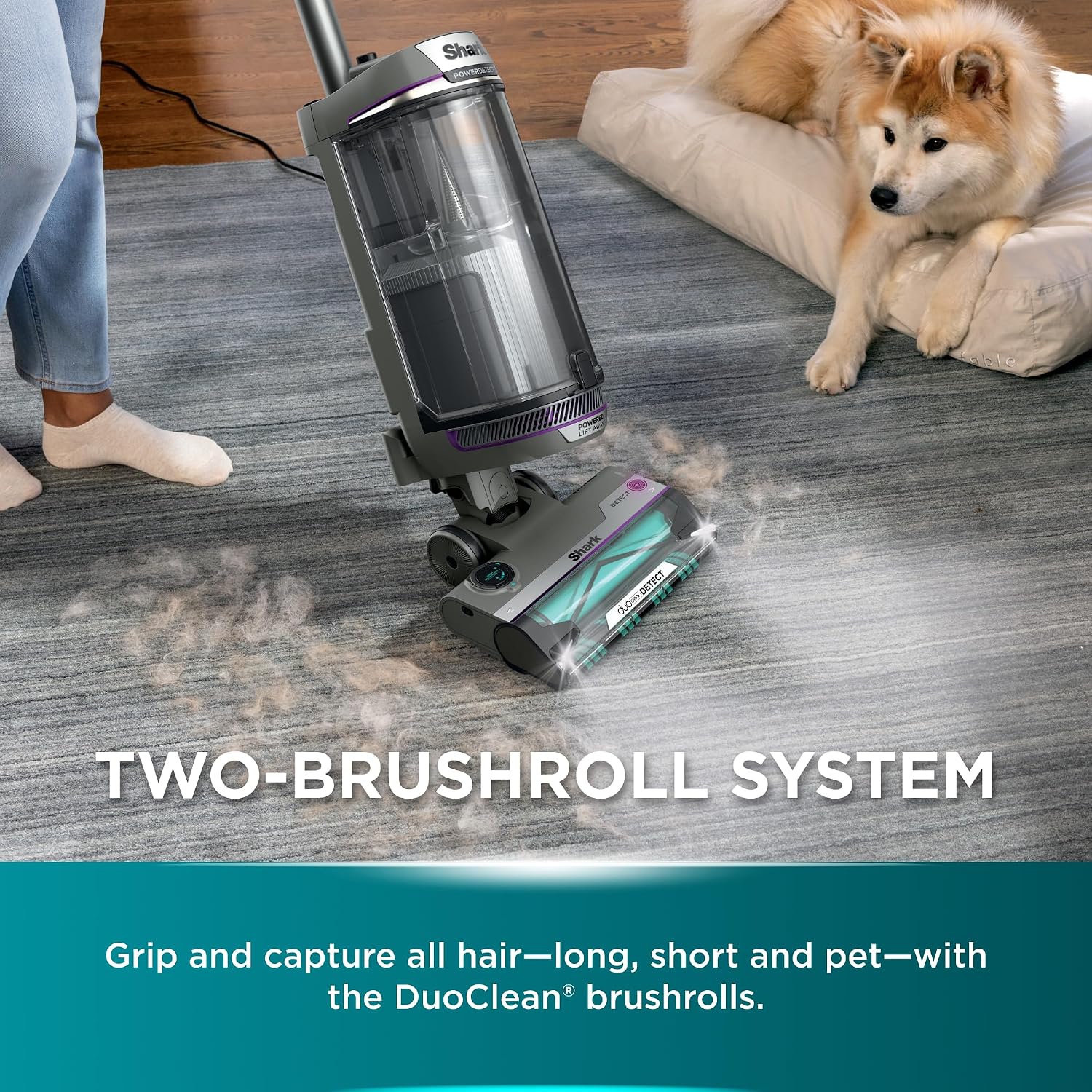 Shark PowerDetect Corded Upright Vacuum, Powerful Deep-Clean Suction Vacuum with Dirt Detect Sensors & Reverse Cleaning Technology, Includes Accessories, AZ3900ANZ, Stone