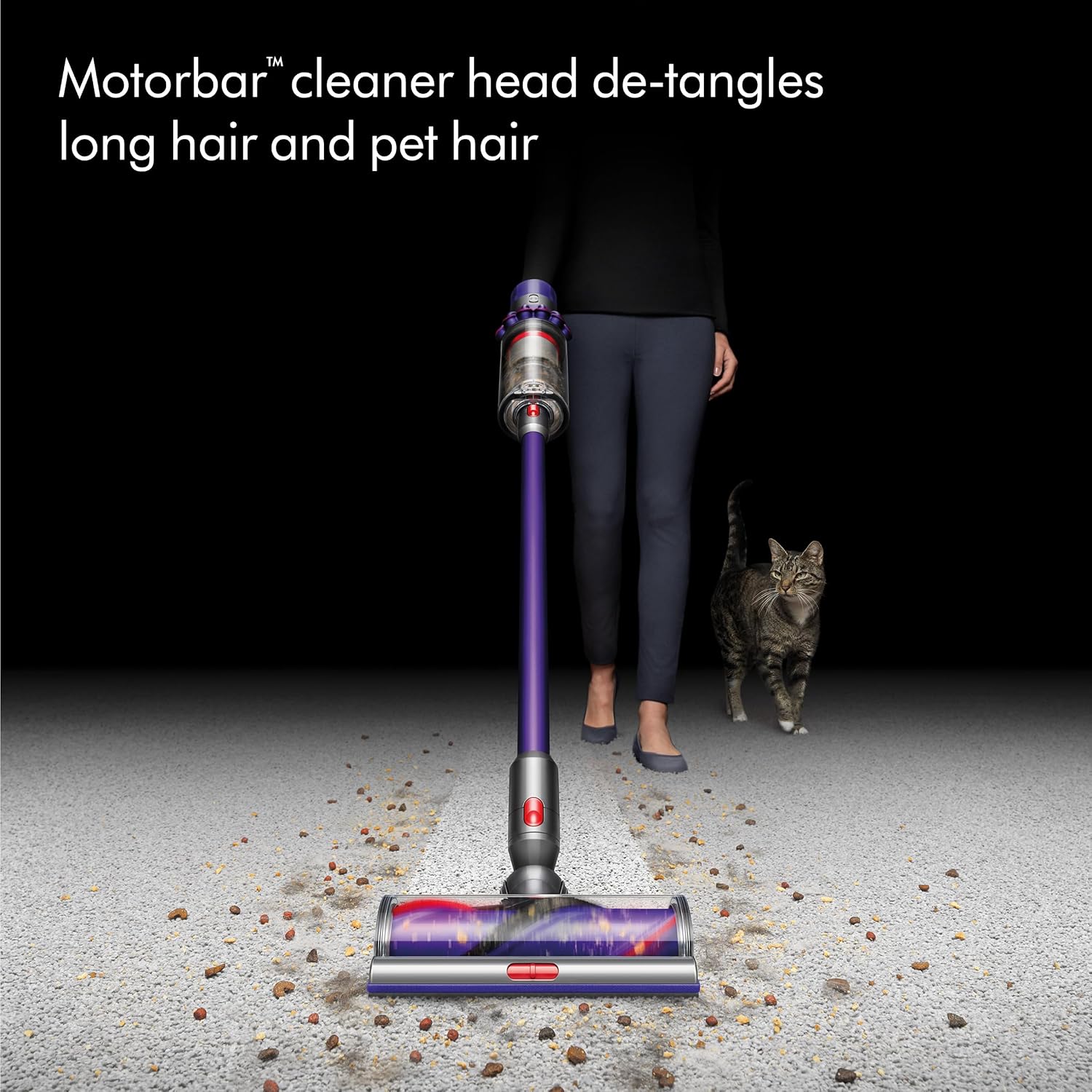 Dyson V10™ Vacuum